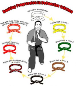 ranking_belts2